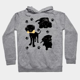 Three Black Lab Puppies Hoodie